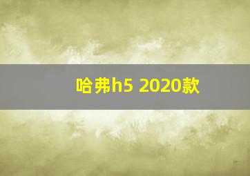 哈弗h5 2020款